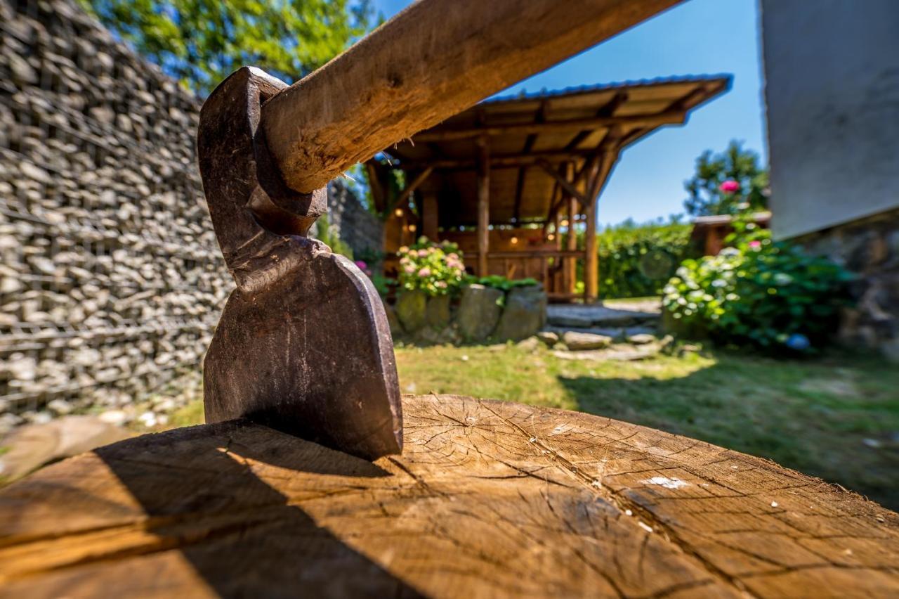 Casa de vacanta Sadu Exterior foto